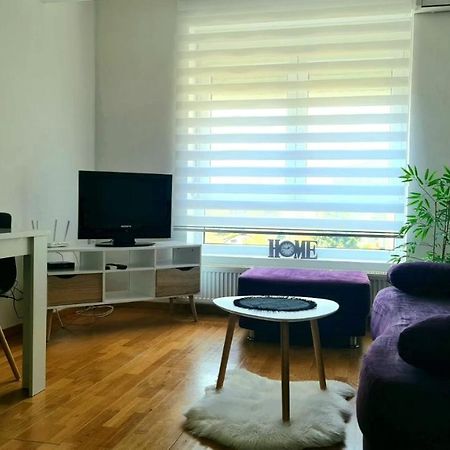 Kralj Studio Jagodina Kültér fotó
