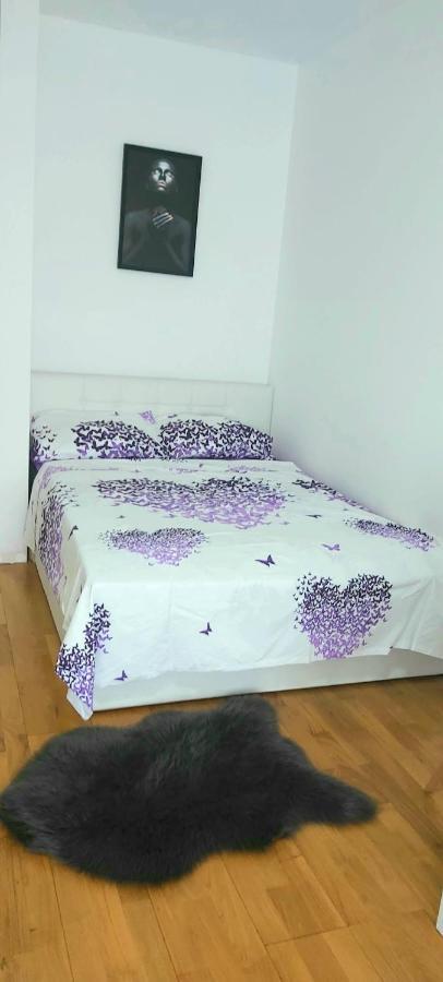 Kralj Studio Jagodina Kültér fotó